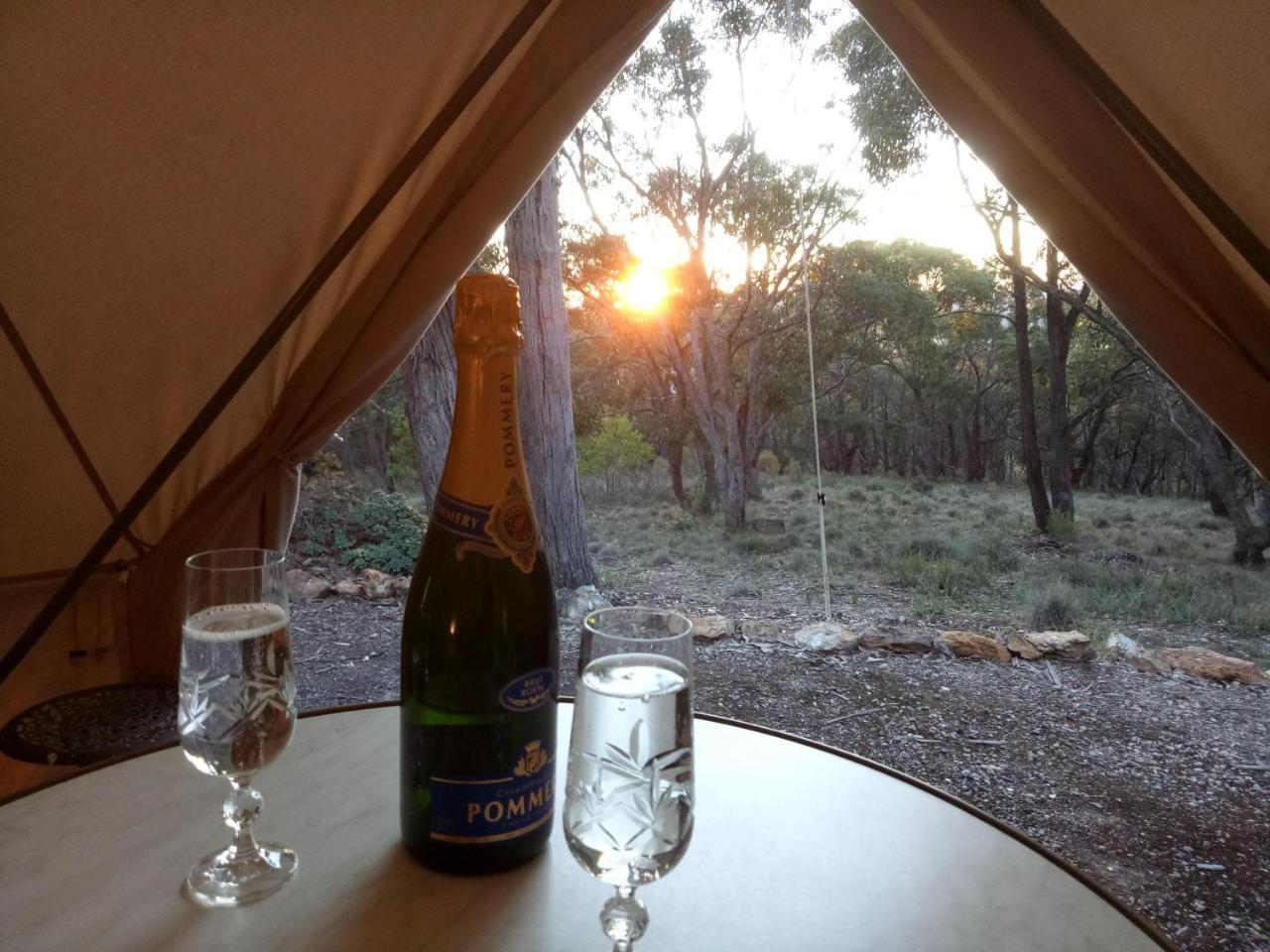 Macedon Ranges Glamping with kangaroos — Macedon — photo 4