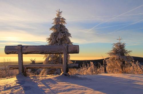 Windspiel - carbon neutral hotel in Zingst