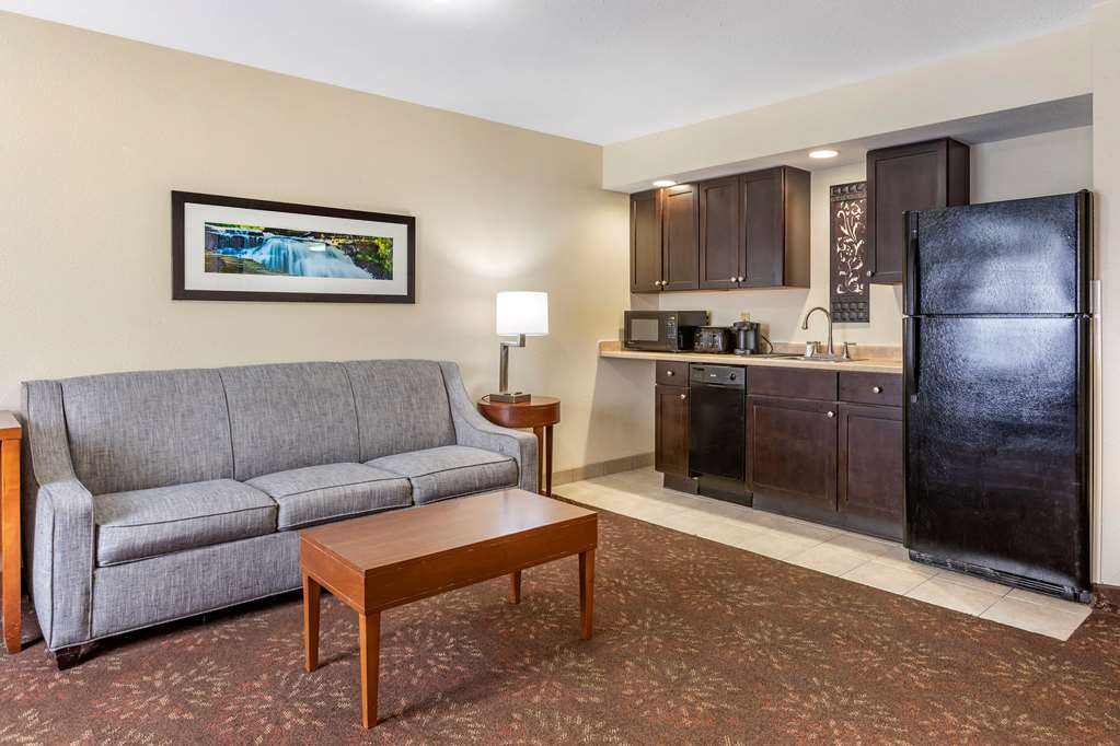 Comfort Inn Okemos East Lansing - photo 22