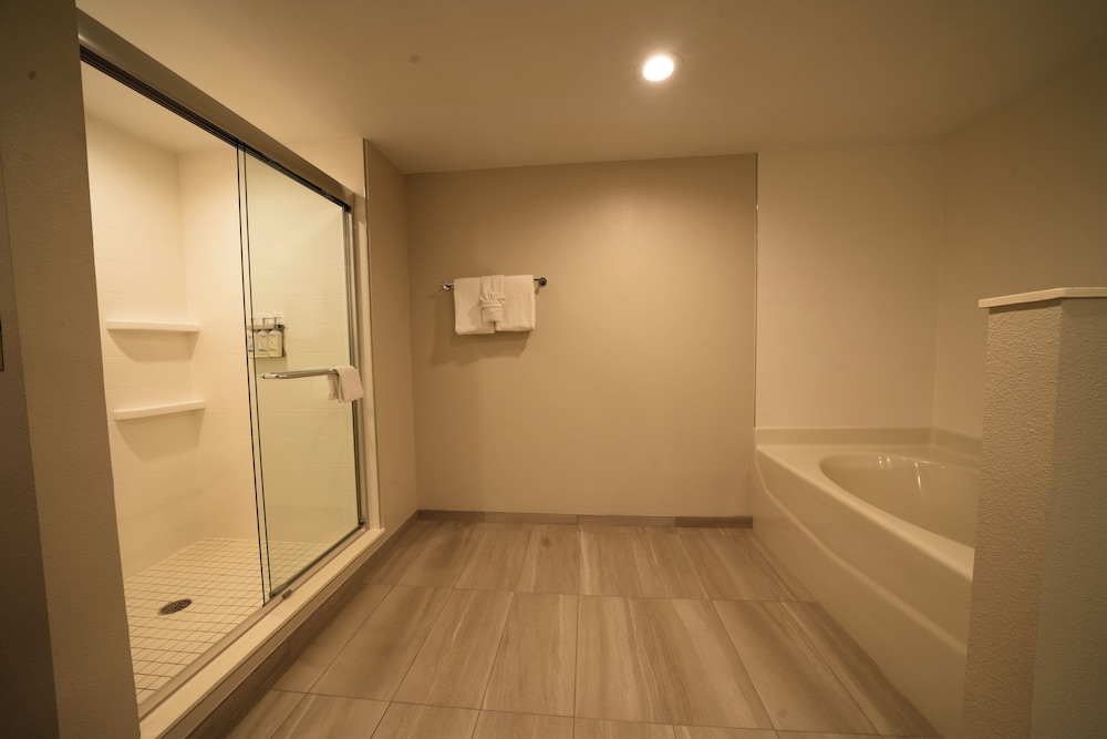 Holiday Inn Express Hotel & Suites Tampa Northwest Oldsmar by IHG - photo 20