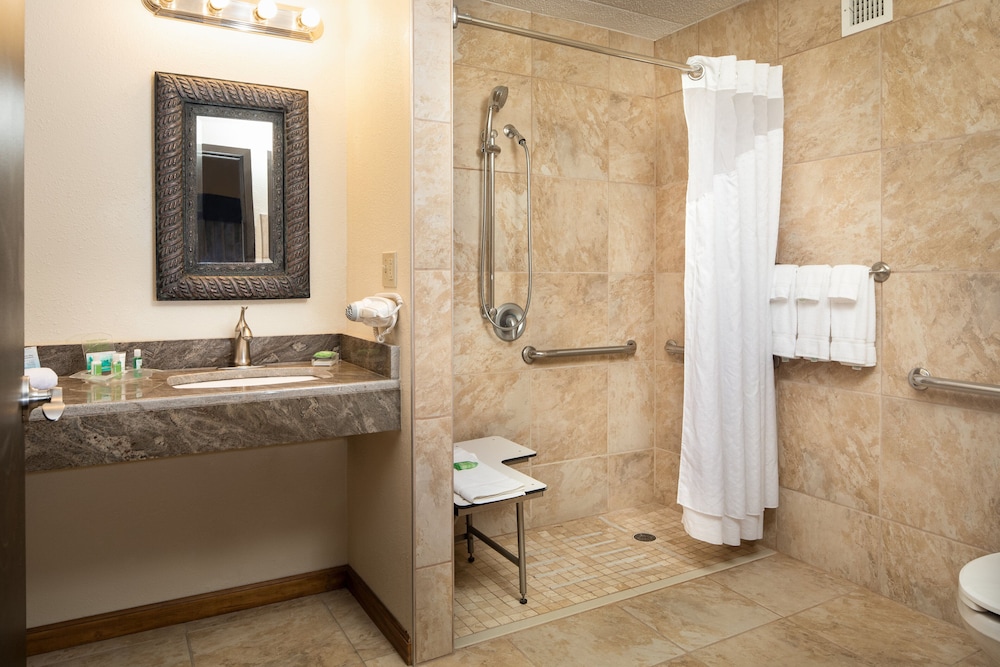 Holiday Inn Hotel & Suites Charleston West by IHG - photo 29
