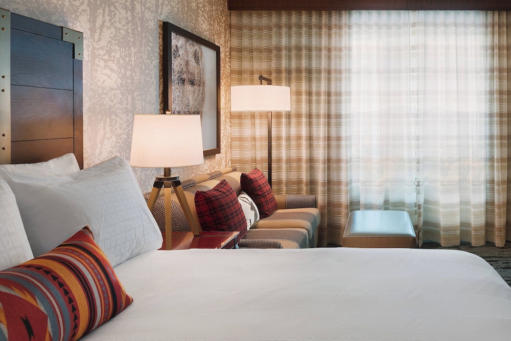 Gaylord Rockies Resort & Convention Center - photo 15