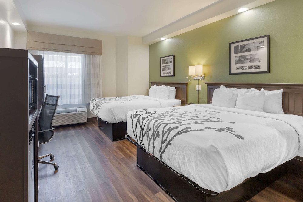 Sleep Inn Sumter - photo 13