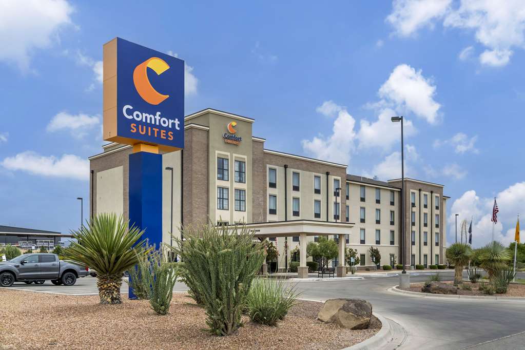 Comfort Suites Carlsbad — hotel in Carlsbad