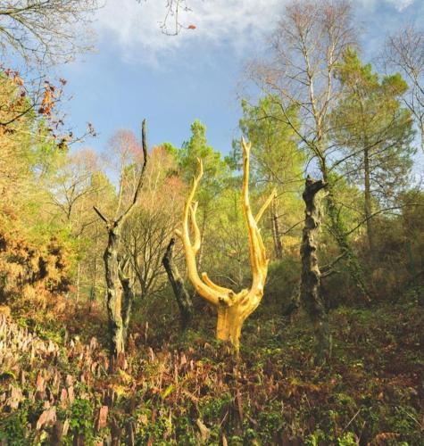L Arbre Dort Studio Inde Pendant — Ploermel
