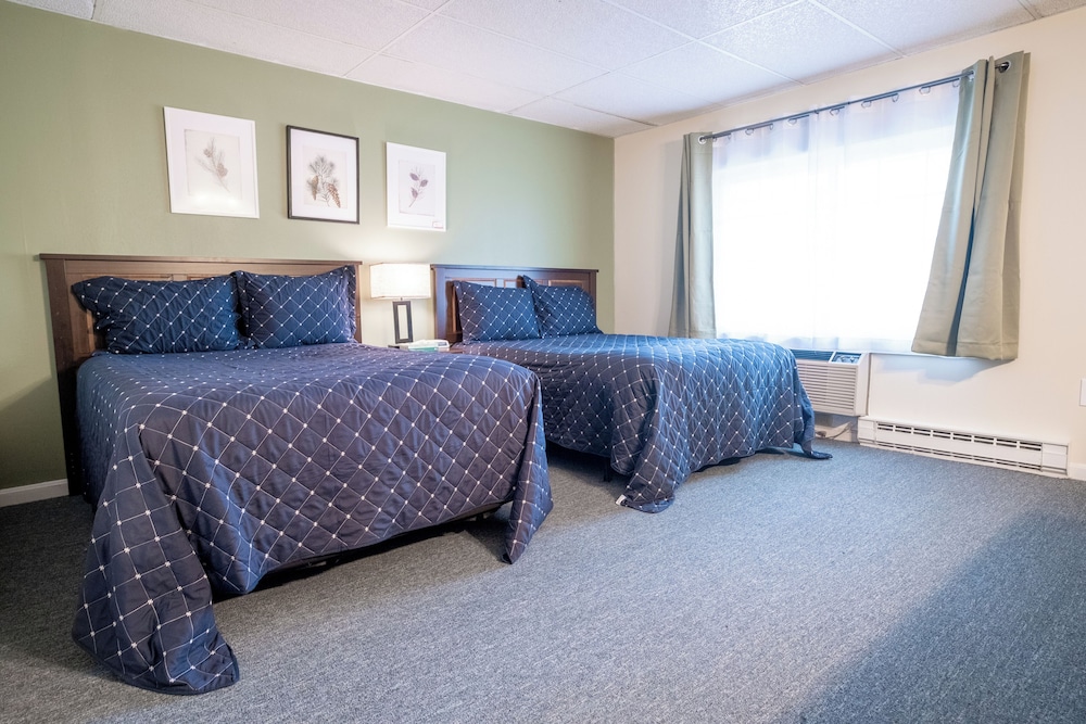 Acadia Pines Motel - photo 14
