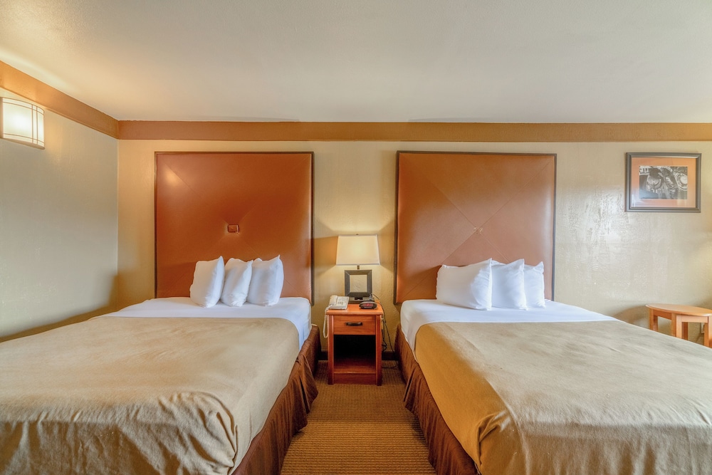 Texan Inn By Oyo Beeville Us 181 - photo 27