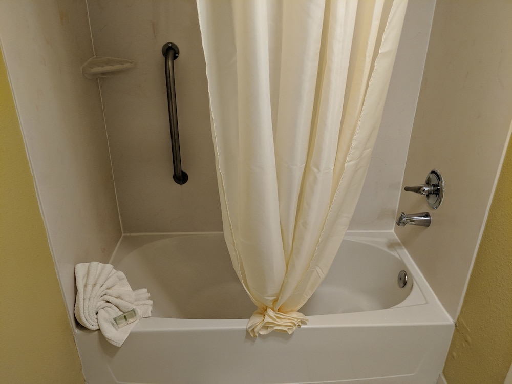 Vista Inn Lake Tarpon - photo 37