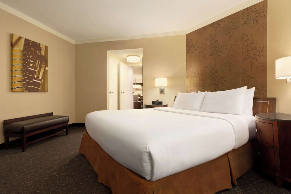 Embassy Suites by Hilton Austin Downtown South Congress - photo 36
