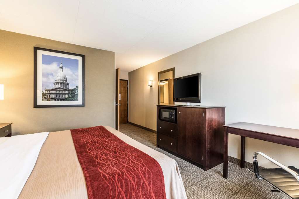 Comfort Inn Lansing West - photo 11