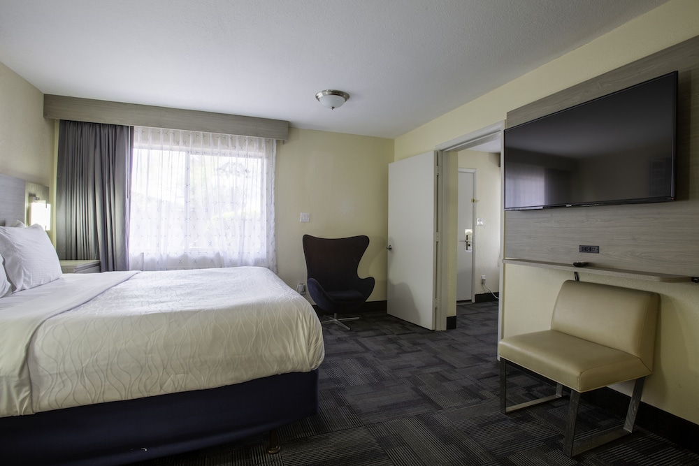 Hotel Aspen InnSuites Flagstaff Grand Canyon - photo 14