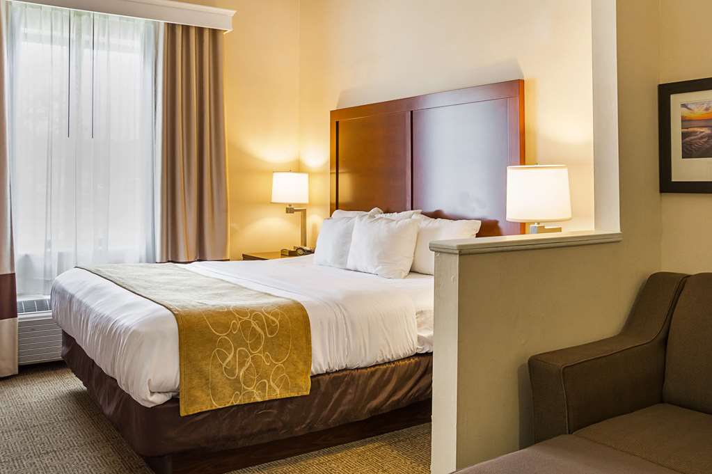 Comfort Suites Twinsburg - photo 27