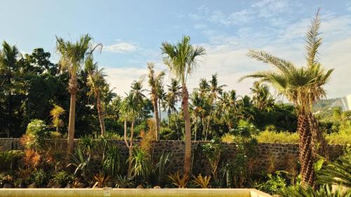 Charming Modern Villa Cactus Peaceful Lovina Getaway — 4-Star Luxury Hotel in Lovina, Indonesia