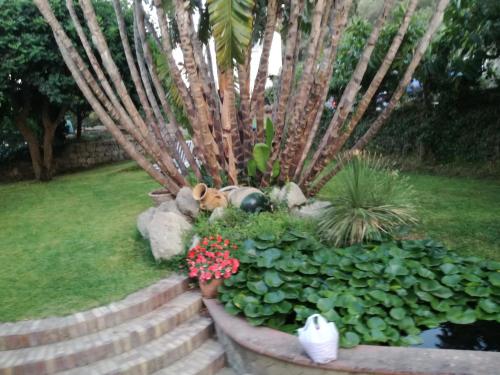 Villetta Baia San Montano in Ischia, Italy