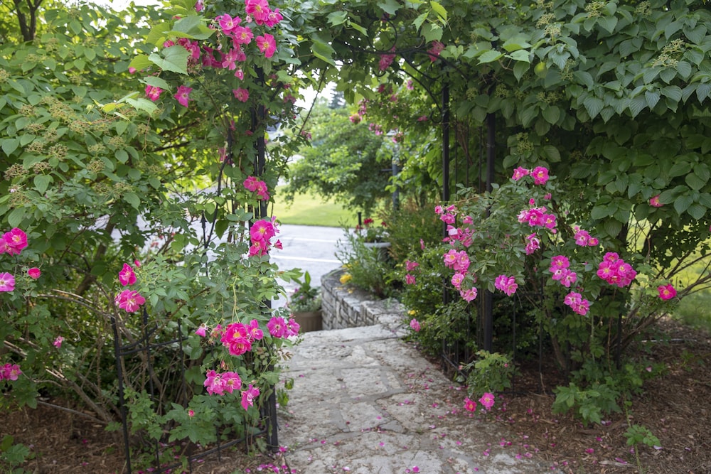 Coachlite Inn - photo 48