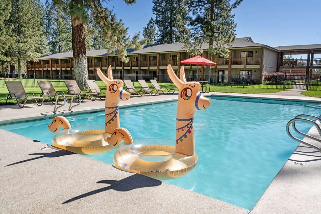 Best Western Ponderosa Lodge - photo 6