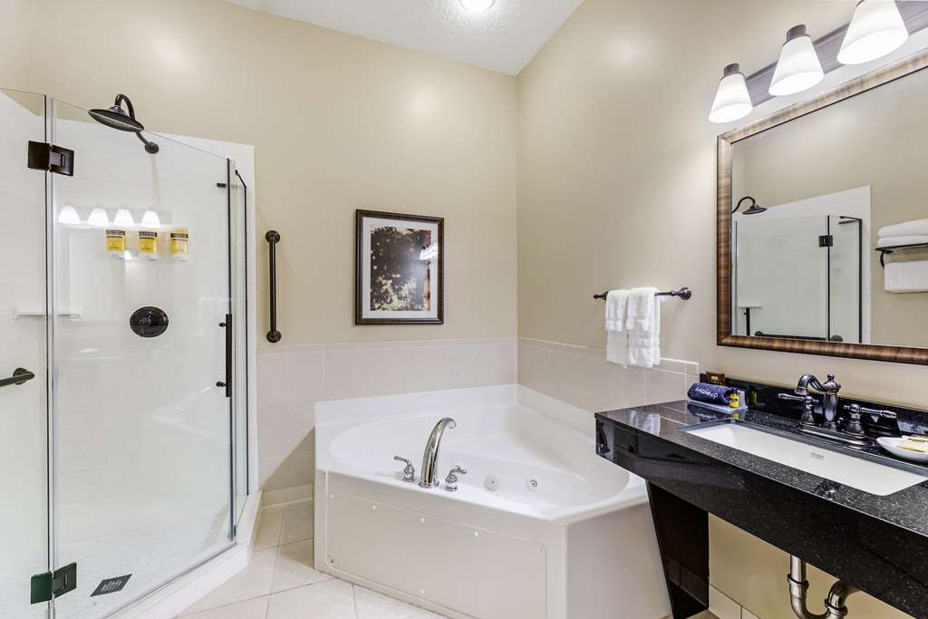 Best Western Plus Dutch Haus Inn and Suites - photo 37