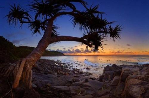 Bayona 1 Little Cove — 4-Star Luxury Hotel in Noosa Heads, Australia