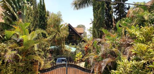 The Annex at 64 : Cozy rustic cottage treehouse