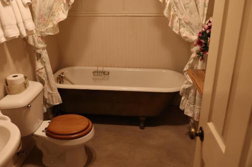Mariposa Hotel Inn - photo 17