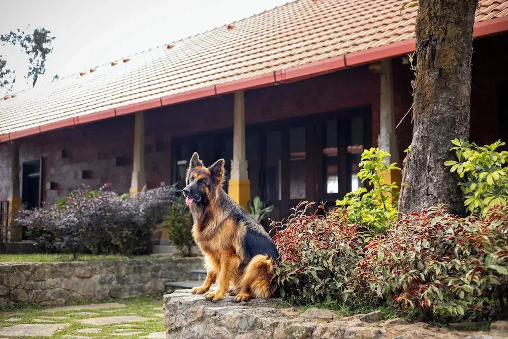 Amã Stays & Trails Alpenhof Coorg in Madikeri, India