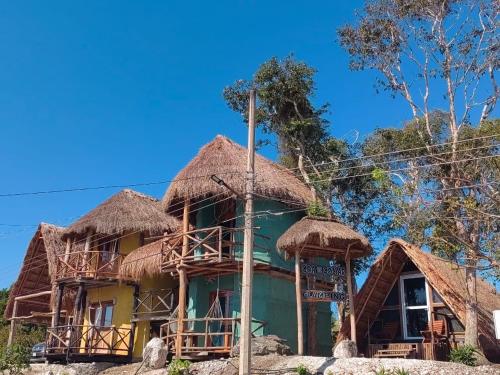 Coa De Collar in Xpujil, Mexico