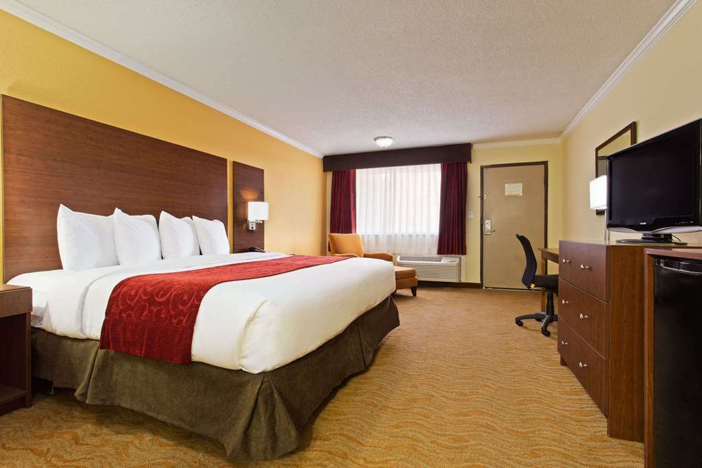 Ramada by Wyndham Tampa Westshore Airport South - photo 19