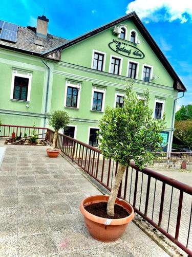 Hotel Zelený dům in Dolni Poustevna, Czech Republic