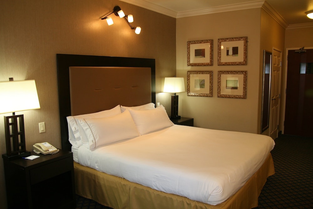 Holiday Inn Express Hotel & Suites San Pablo Richmond Area by IHG - photo 7