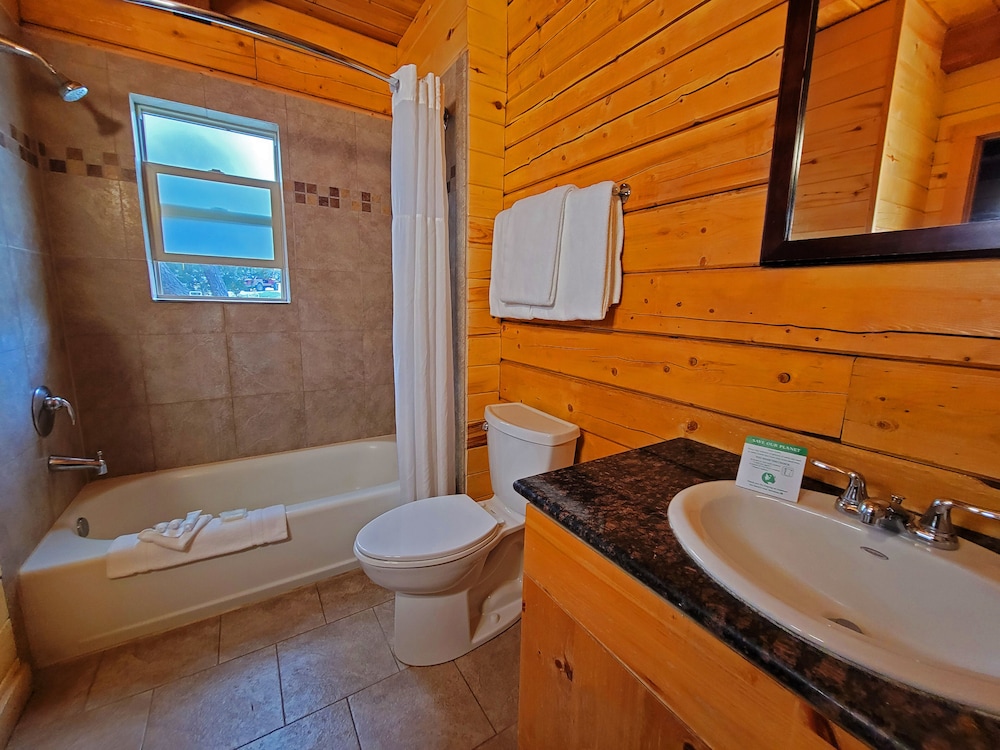Mount Princeton Hot Springs Resort - photo 37