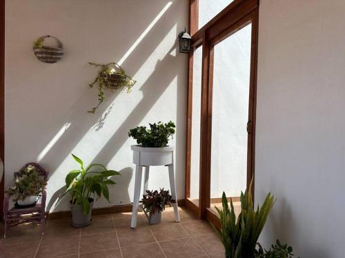 Private villa with pool in the mountains — 4-Star Luxury Hotel in Pajara, Spain
