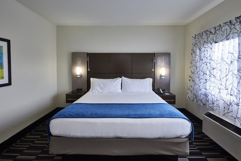 Holiday Inn Express & Suites Birmingham South Pelham by IHG - photo 6