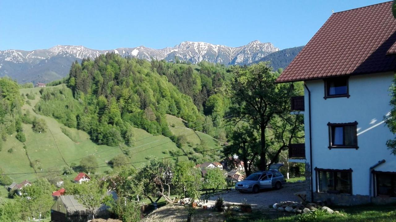 Ograda de la Munte in Bran, Romania