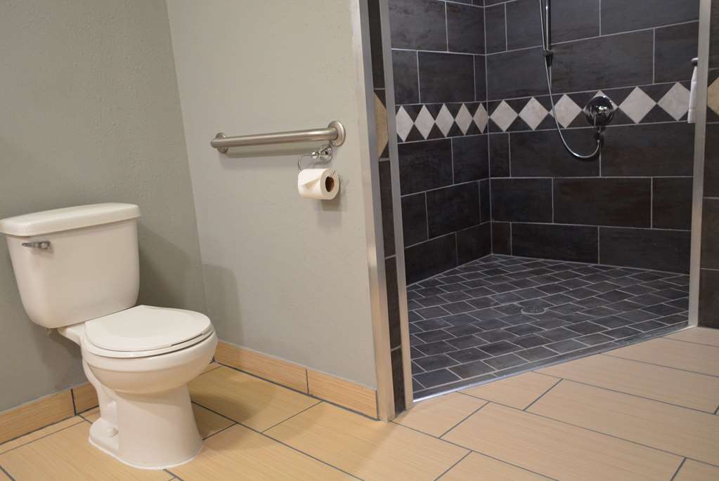 La Quinta Inn & Suites by Wyndham Rochester Mayo Clinic S - photo 28