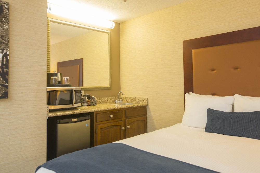 Ivy Court Inn & Suites - photo 16