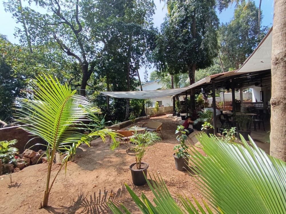 Jangala Resort in Baga, India