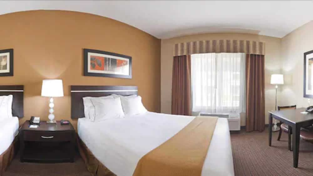 Holiday Inn Express Hotel & Suites LAMAR by IHG - photo 9