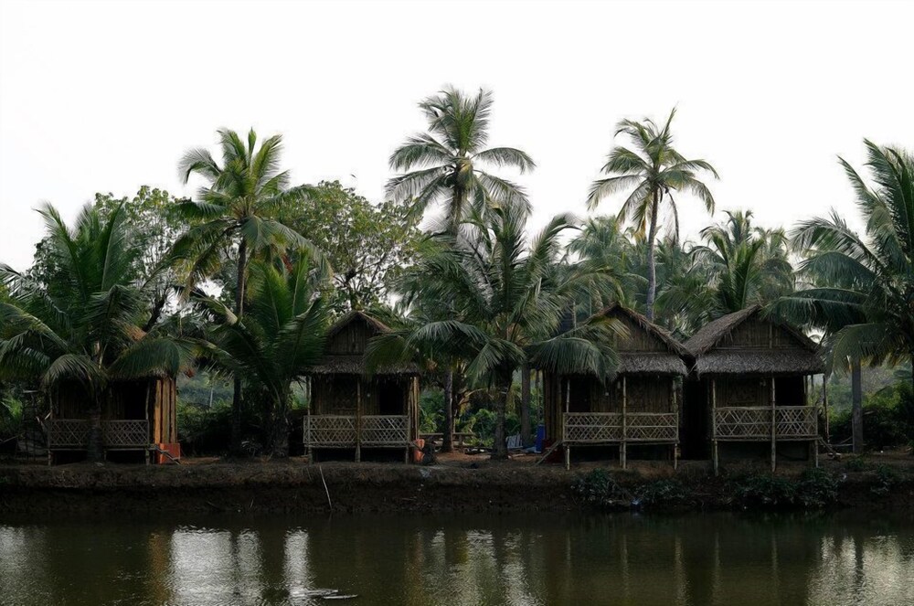 Om Lake Resort — Arambol — photo 4