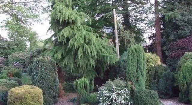 The Paddock B&B — Malpas — photo 5