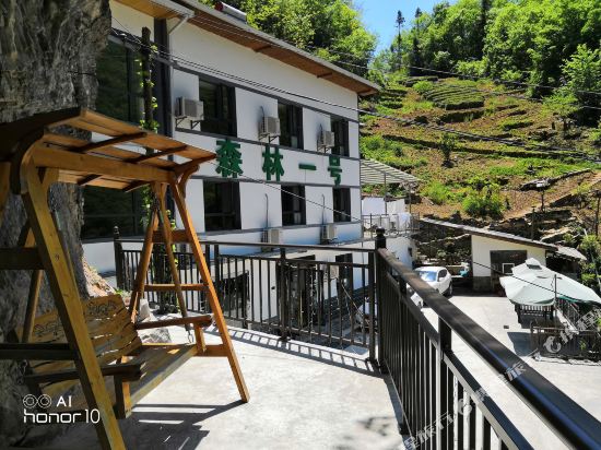 Forest No.1 Cloud Hostel Hotel in Songbai, People's Republic of China