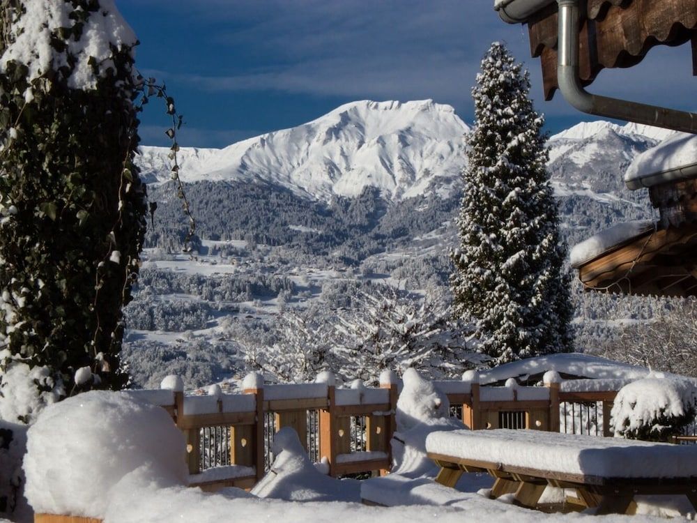 Les Greniers du Mont Blanc — Passy — photo 2