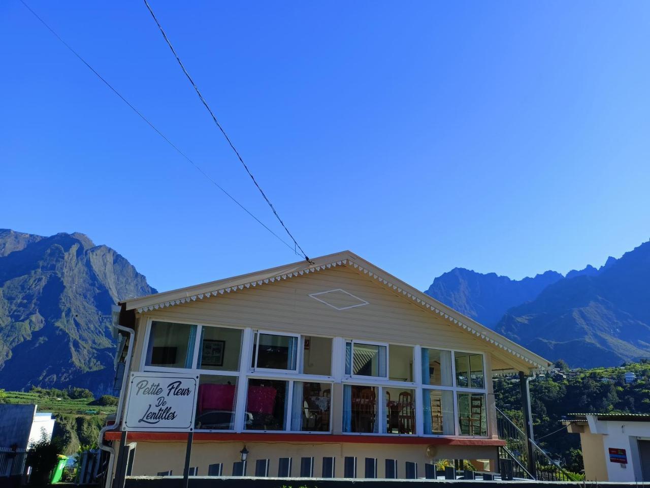 Petite Fleur de Lentilles 1 in Cilaos, Réunion