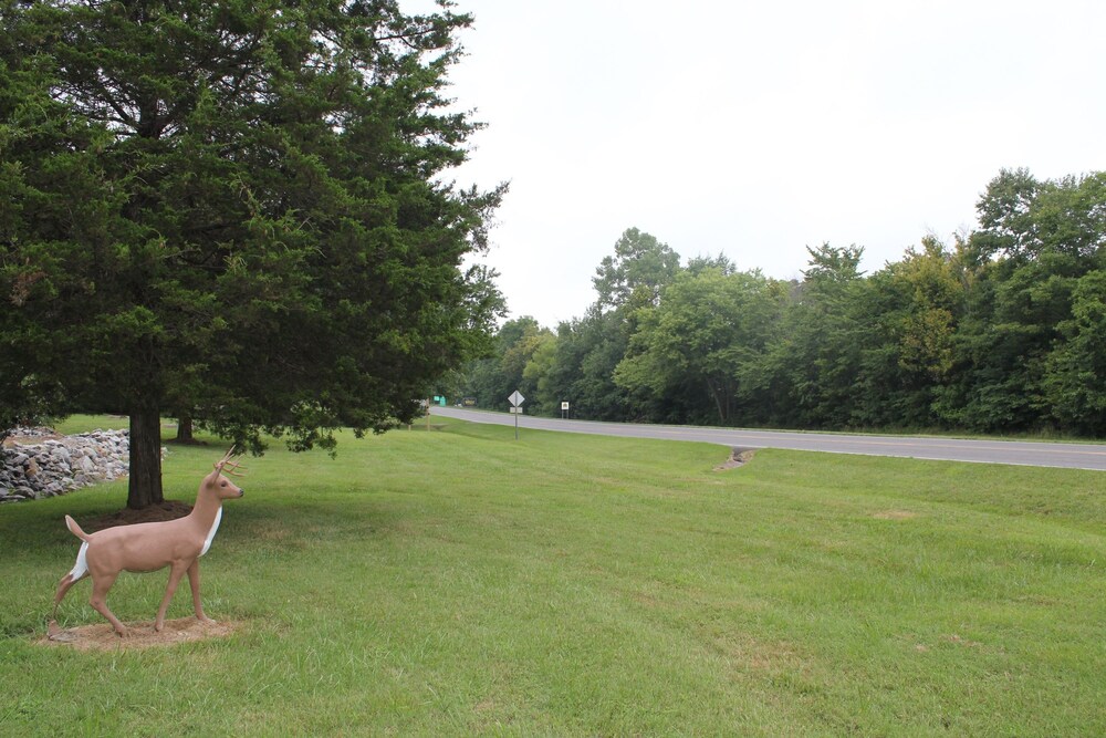 Shawnee Trails Lodging and Suites - photo 52