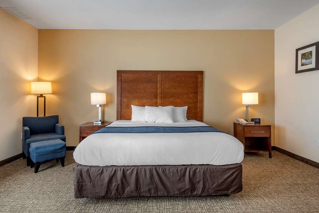 Comfort Inn Apalachin Binghamton W Route 17 - photo 20