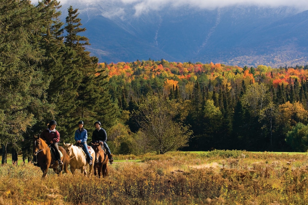 Omni Mount Washington Resort & Spa - photo 101
