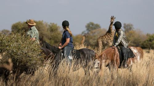 Protea Hotel by Marriott Zebula Lodge