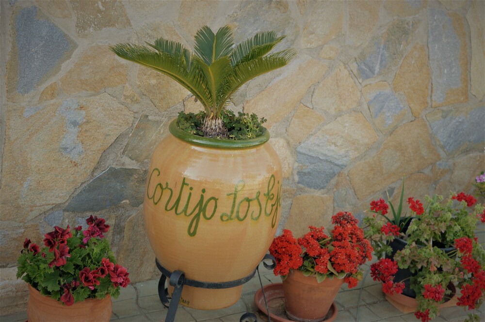 Cortijo Rural Los Ejeas — Taberno