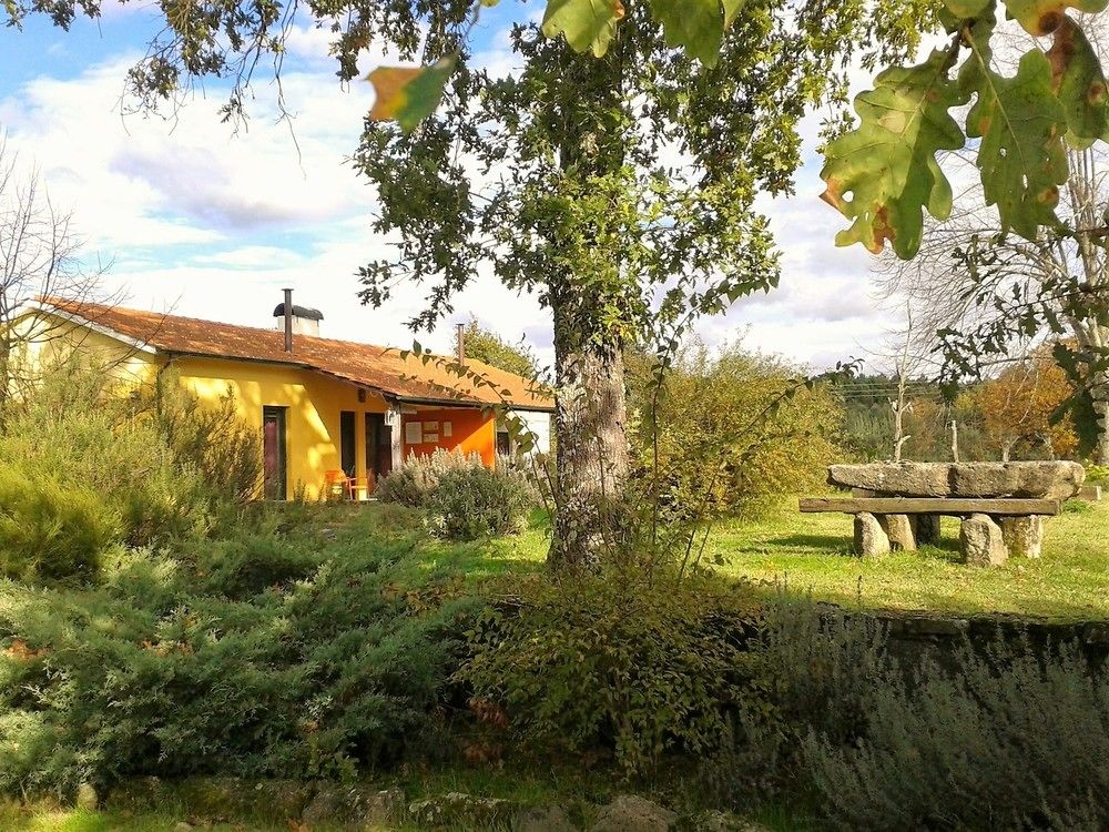 Casa Das Palmeiras — 4-Star Luxury Hotel in Mangualde, Portugal