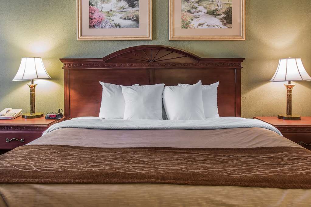 Quality Inn & Suites Ann Arbor Hwy 23 - photo 6