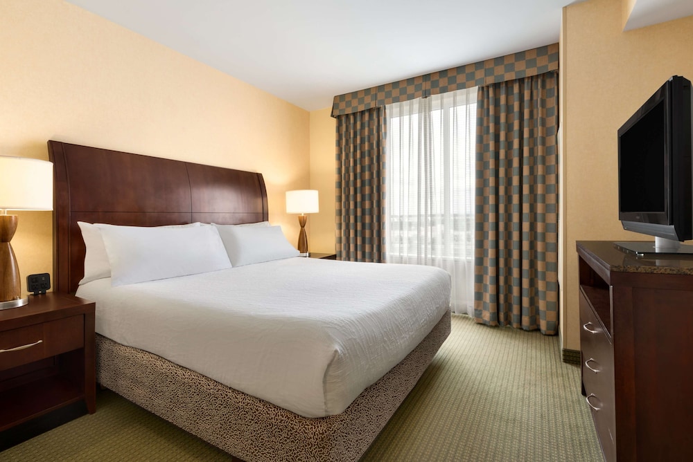 Hilton Garden Inn Dulles North - photo 10